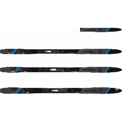 Rossignol Delta Comp