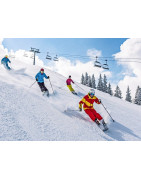 Ski de piste